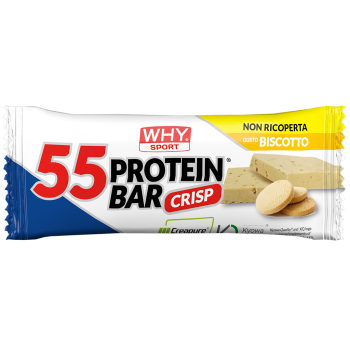 WHY SPORT 55 PROTEIN BAR 55g