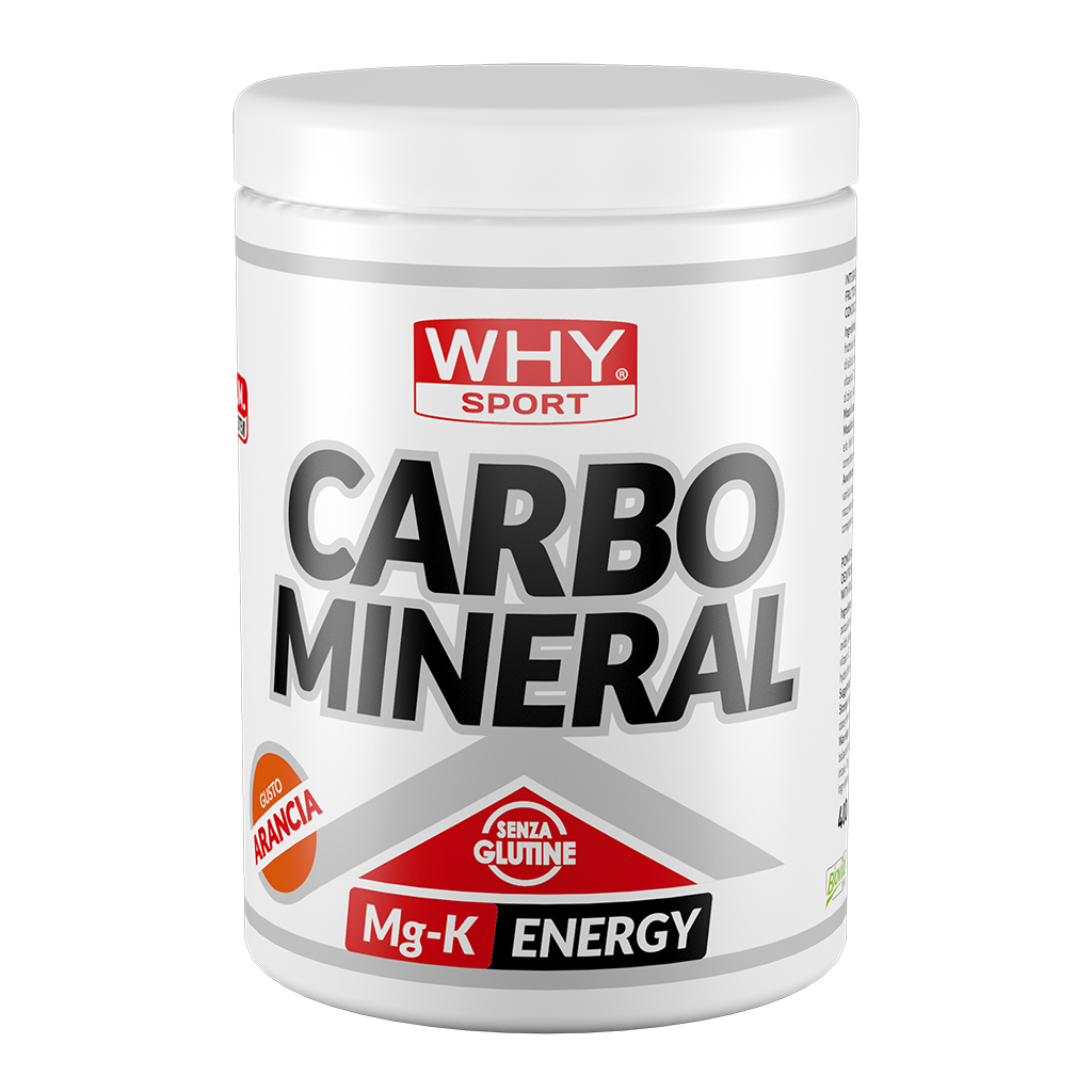 WHY SPORT CARBO MINERAL 400g