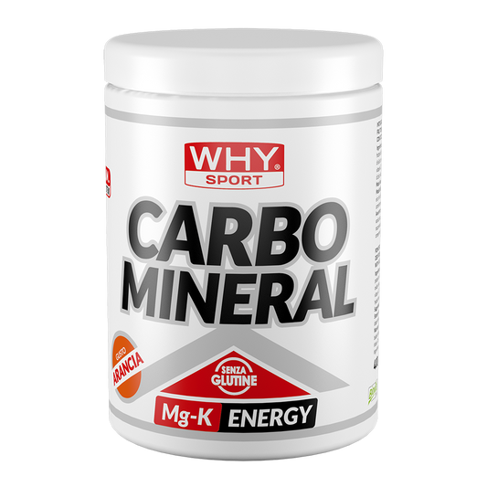 WHY SPORT CARBO MINERAL 400g