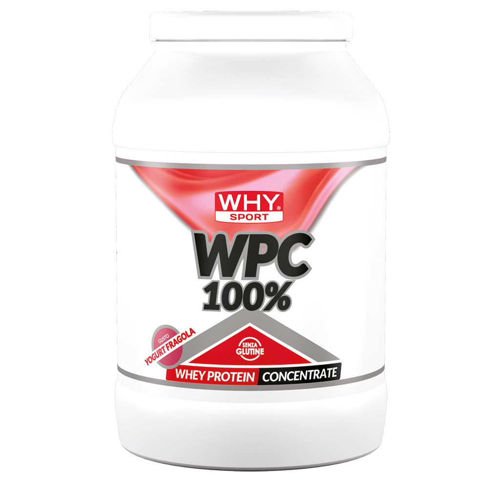 WHY SPORT WPC WHEY PROTEIN CONCENTRATE