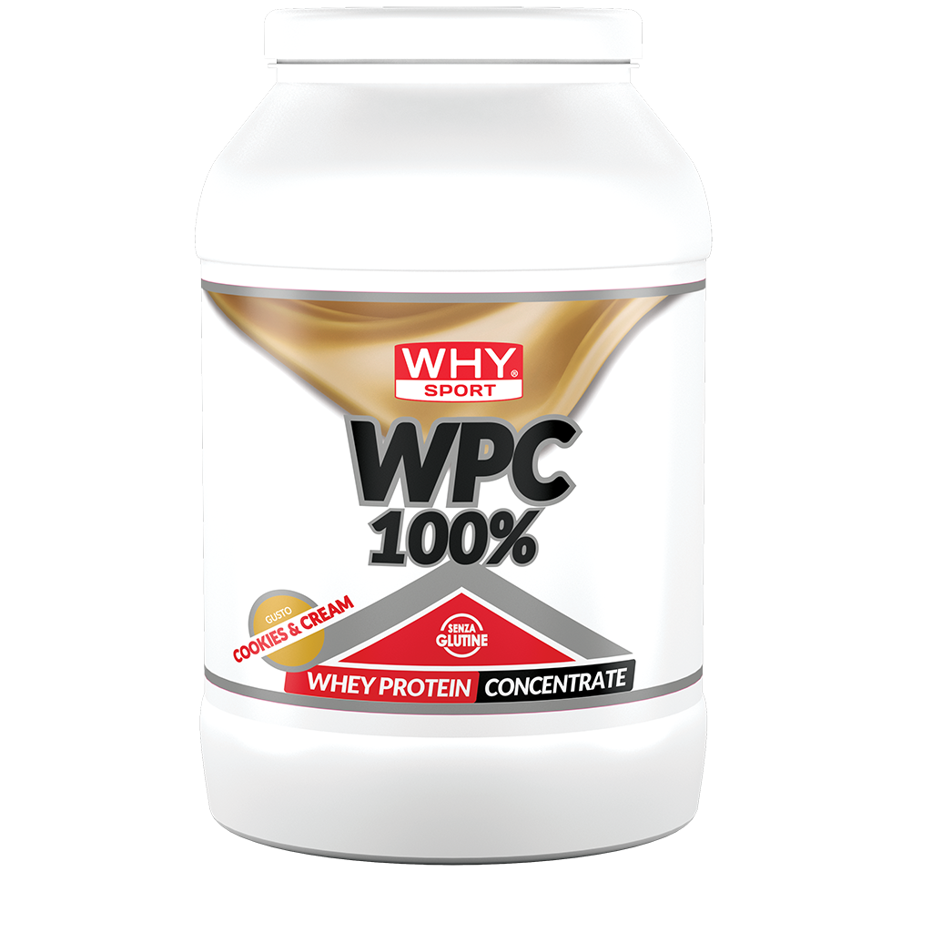 WHY SPORT WPC WHEY PROTEIN CONCENTRATE