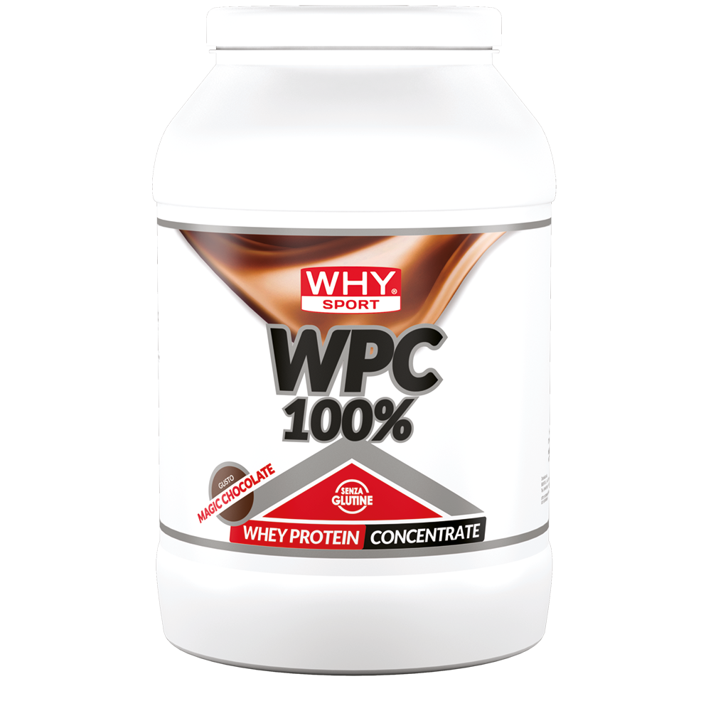 WHY SPORT WPC WHEY PROTEIN CONCENTRATE