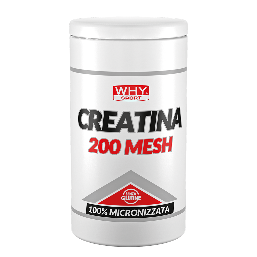 Why Sport Creatina 200 Mesh in polvere