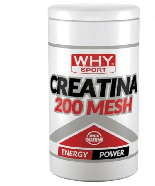 Why Sport Creatina 200 Mesh in polvere