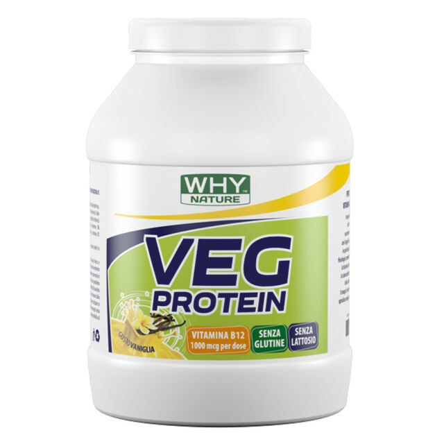 WHY SPORT VEG PROTEIN 450g