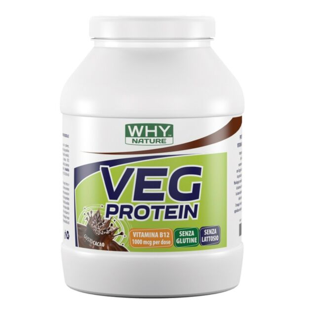 WHY SPORT VEG PROTEIN 450g