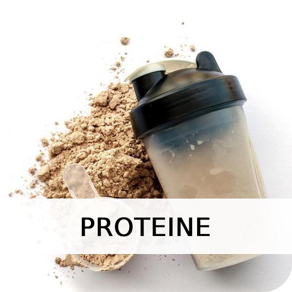 PROTEINE