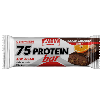 WHY SPORT 75 PROTEIN BAR 75g