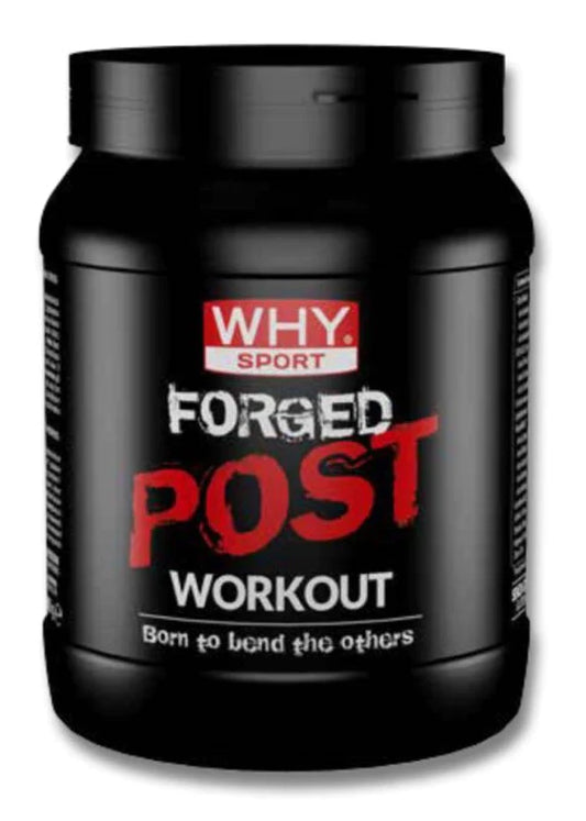 WHY SPORT FORGED POST WORKOUT 600 g