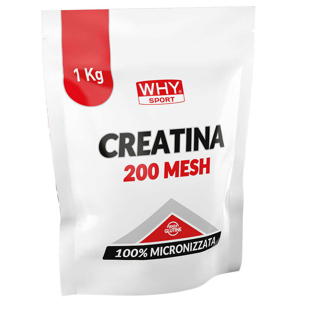 Why Sport Creatina 200 Mesh in polvere