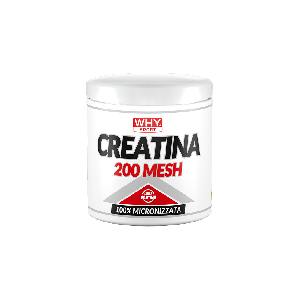 Why Sport Creatina 200 Mesh in polvere