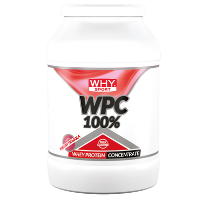 WHY SPORT WPC WHEY PROTEIN CONCENTRATE