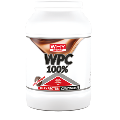 WHY SPORT WPC WHEY PROTEIN CONCENTRATE