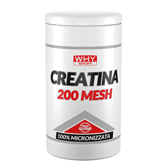 Why Sport Creatina 200 Mesh in polvere
